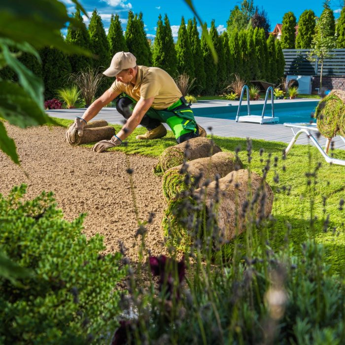 Landscaping Services – 1 rise Construction Landscaping Services - 1 rise Construction